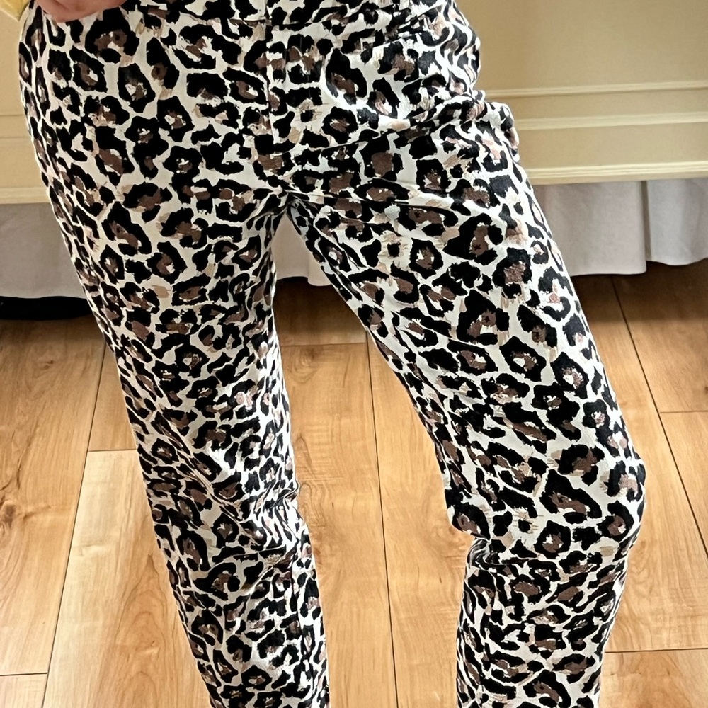 Leopard Print Pants Loft